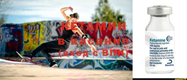 прущие грибы Нягань