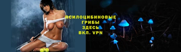мет Магас