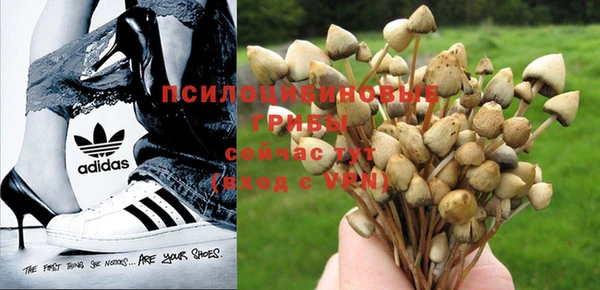мескалин Майский